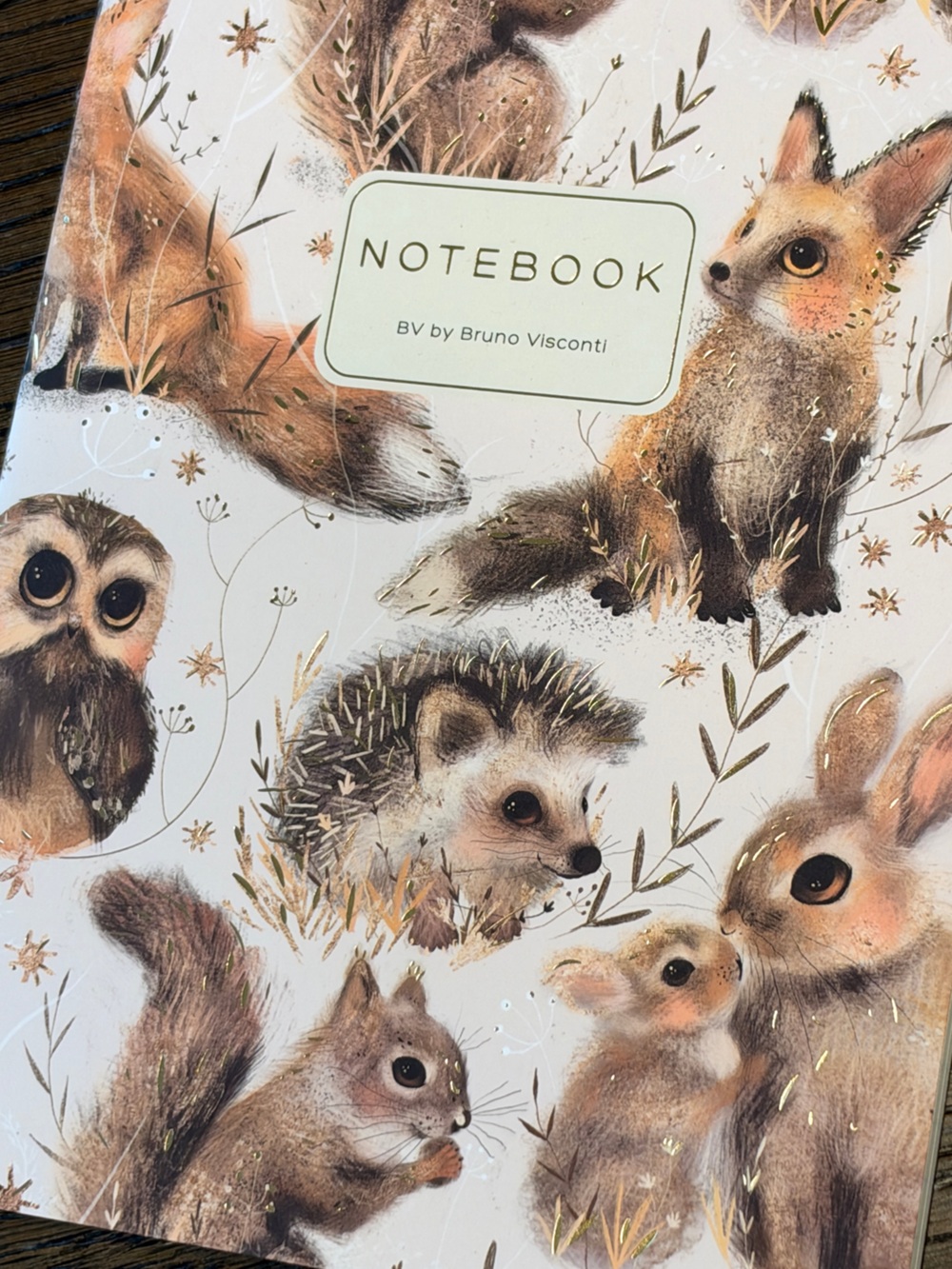3 for $15 Bruno Visconti Soft Touch Little Woodland Friends Journal A5 NEW - Picture 5 of 6